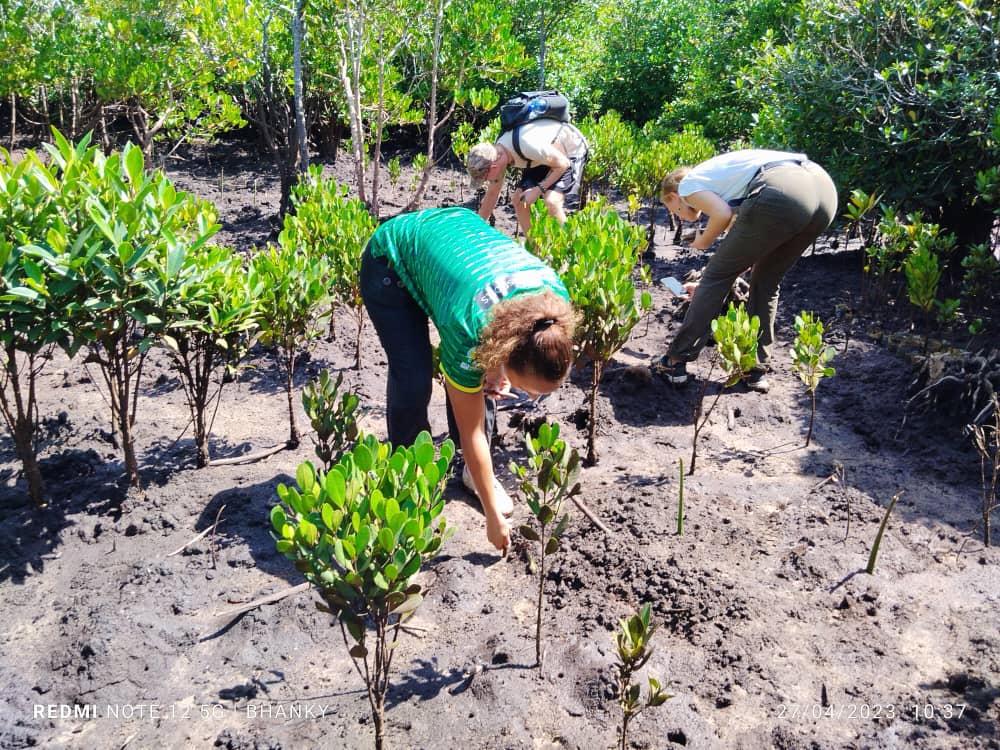 Estuary Planting Fieldwork