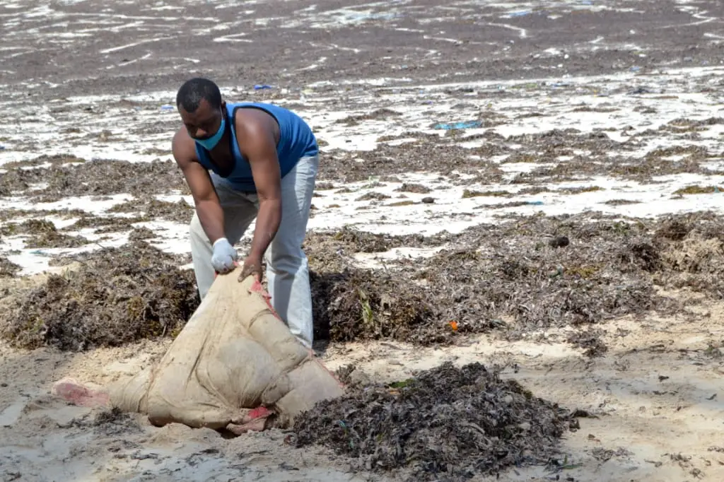 Marine Marine Habitat Monitoring